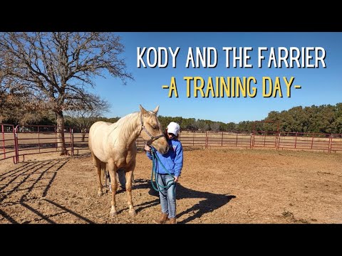 Kody & the Farrier – A Training Day