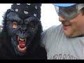 Gorrilla in Galveston
