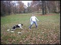 Some frisbee footage Some frisbee footage
