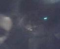 JAMMING TO WHAT ELSE IS THERE BY ROYSOPP