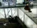 Tribute To WWE