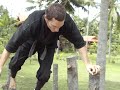 Live-In Martial Arts and Adventure Camps in Thailand and California www.theninjacamp.com (Weekly, Monthly and Yearly programs available.) NinjaGym Obstacle Course is designed to help students at Rick Tew's NinjaGym and Martial Art Camp in Thailand develop motor fitness including speed, agility, coordination, and related skills and abilities. Many of these activities also give students the chance to plan strategy, make split-second decisions, learn teamwork, and demonstrate leadership. Physical performance and success in combat may depend on a student's ability to perform skills like those required on the obstacle course. For this reason, and because they help develop and test basic motor skills, obstacle courses are valuable for physical training. Students are encouraged, but not forced, to go through it. Getting students excited about exercise and working around each student's strengths and weaknesses are our main focus. Check out www.TheNinjaCamp.com formore info on our live-in short and long terms Mixed Martial Art and Ninjitsu Training Camp in Thailand. Too busy to join our live Martial Art Training Camp? Rick Tew's NinjaGym introducing The Most Interactive Martial Art Home Study Program! ninjagym.com Read our blog on Balance Beam Training ideas. www.ninjagym.com