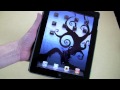 SwitchEasy Canvas iPad 2 Case