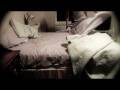 videos de Panning Time Lapse Test