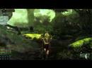 age of conan dx10 cam