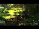 age of conan dx10 cam