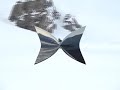 jackson hole ski video