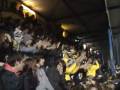 STVV-Hamme
