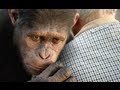 Rise of the Planet of the Apes - Movie Review