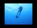 Diving In The Maldives With Friends