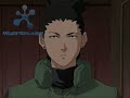 AMV - Who's that girl - Shikamaru Temari Ino - Hilary Duff