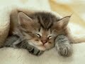 Sara Radle - Sleep It Off