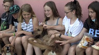 Výcvik psů na ZŠ Vodní