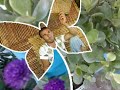 rabah elkahwadji rabah elkahwadji