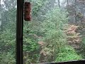 Rainy Day! Rainy Day!