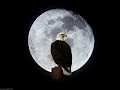 alas de aguila- en su presencia con imagenes