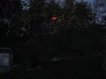 BLADE MCX NIGHT FLY OT DOORS! BLADE MCX NIGHT FLY OT DOORS!