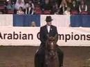 US Half-Arabian Country English Pls. Junior Horse Section B