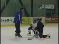 Hockey Hints for Players & Coaches Hockey Hints for Players & Coaches