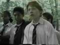 Santaria - Harry Potter
