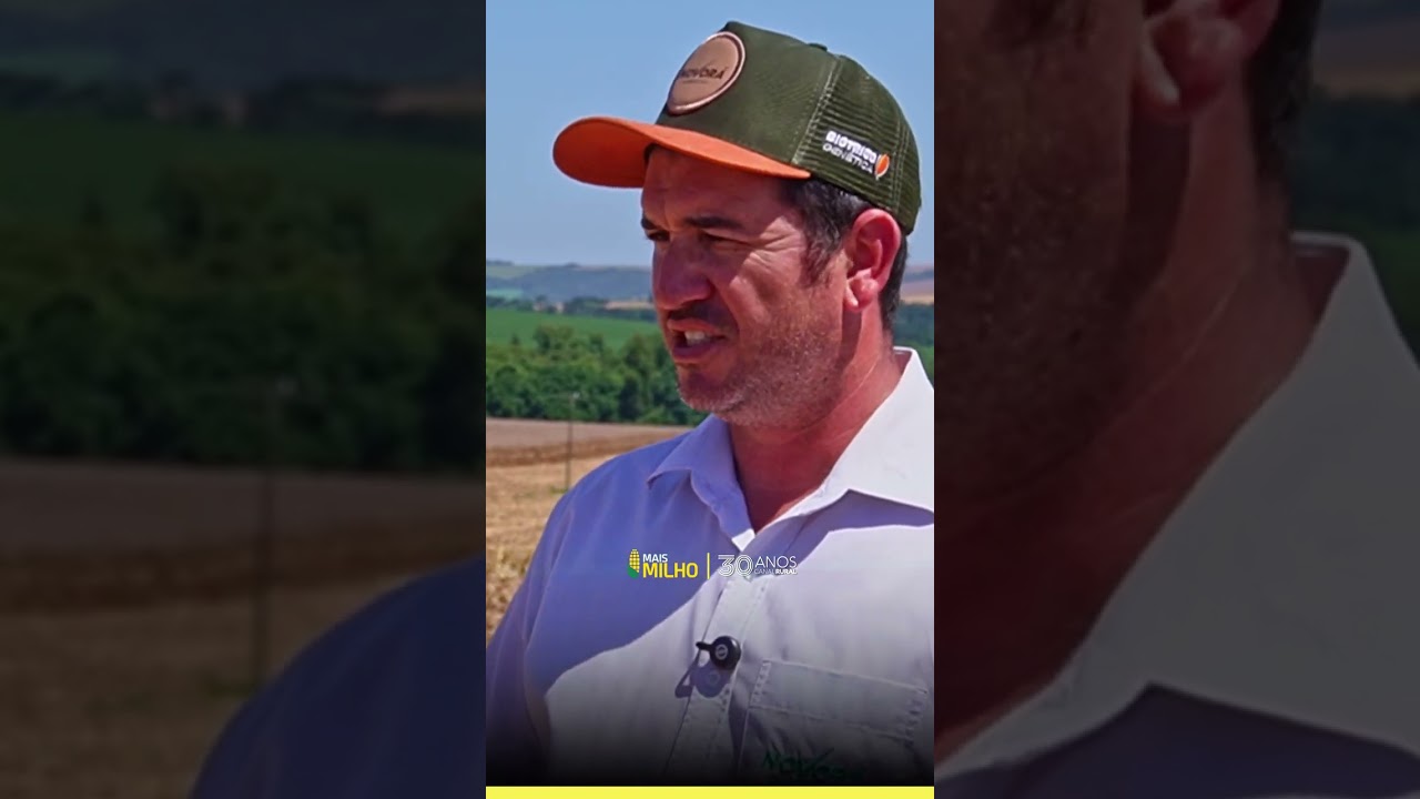 Produtividade no milho: técnica, manejo e o papel do clima