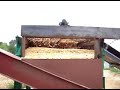 Shavings Plant Start Up