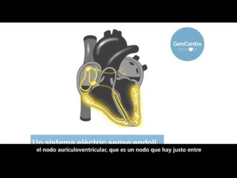 youtube-img