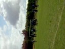 LongFordFC 20th July 2008
