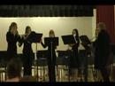 Westmoreland Youth Symphony Orchestra (WYSO) Concert - April 30, 2008Cecilian Hall, Seton Hill UniversityGreensburg, PAMichele Boulet, Winds CoachMorrie Brand, Director