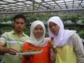 f5 07 SESMA