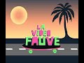 La vid�o fauve
