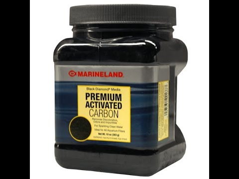 how to eliminate turtle odor