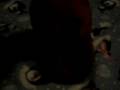 videos de G-talk on hatius! NEW EPISODES COMING IN JANUARY 2009!