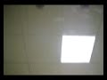 leonardo leon (su primer video)
