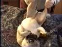 Tired Tuff. \"Not in the Mood\".