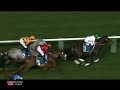 $200,000 Nad Al Sheba Trophy (G3), FOX HUNT, Mar. 1