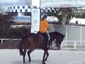 anita cn mi caballo