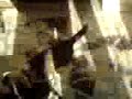 kedi ile k�pek oynarsa