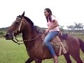 fazenda em jaragua do joares de goiania 2