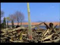 Satoyama (narrated by David Attenborough) 1/6