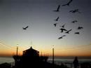 manhattan beach pier, sunset #2 manhattan beach pier, sunset #2