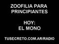 Zoofilia-Para-Princi