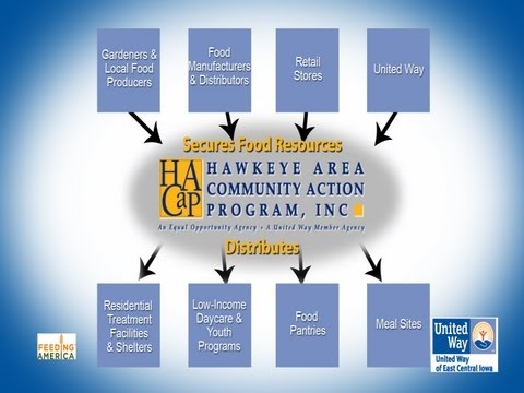 how to eliminate hunger