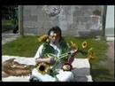 Der Blumenmann
