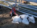 stoffel lomis camping trip