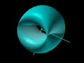 Flat Torus, Graphing Calculator Viewer