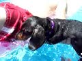 Lady Swimming