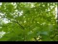 SEEING --by unASLEEP (Walk With Me Series) Spirituality and Enlightenment