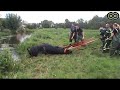 Brandweer Uithoorn - Koe te Water
