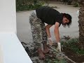 IDRIS THE GARDENER